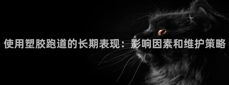 777814红·足一世：使用塑胶跑道的长期表现：影响因素和维护策略