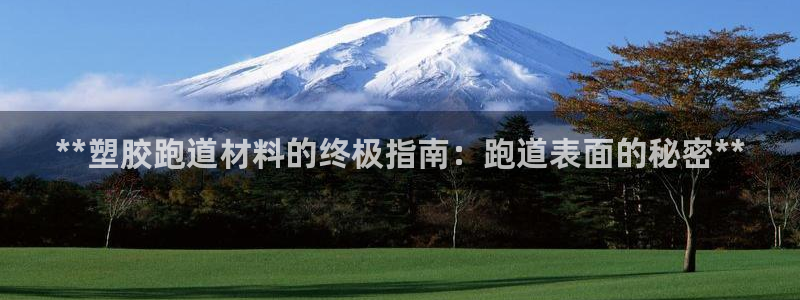 红世一足球比分：**塑胶跑道材料的终极指南：跑道表面的秘密**