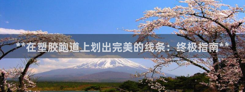 红足一1世即时比分：**在塑胶跑道上划出完美的线条：终极指南**