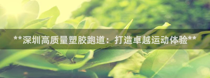 红足1一世红：**深圳高质量塑胶跑道：打造卓越运动体验**