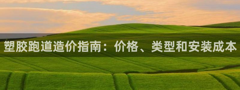 红足一比分网：塑胶跑道造价指南：价格、类型和安装成本