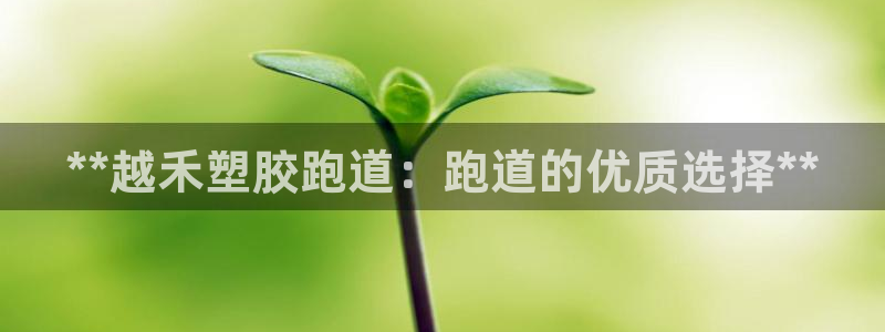 红足1世开奖预测：**越禾塑胶跑道：跑道的优质选择**