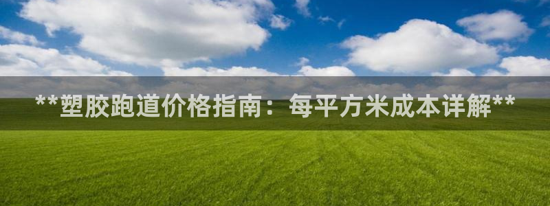 百度红足一1是干什么的：**塑胶跑道价格指南：每平方米成本详解**