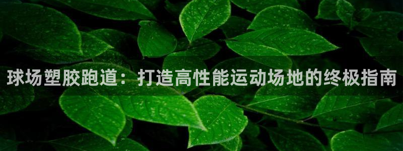 百度红足一1世：球场塑胶跑道：打造高性能运动场地的终极指南