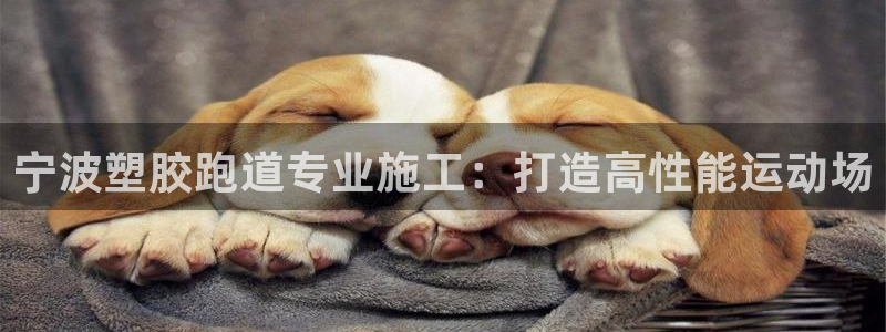 红足一1世比分：宁波塑胶跑道专业施工：打造高性能运动场