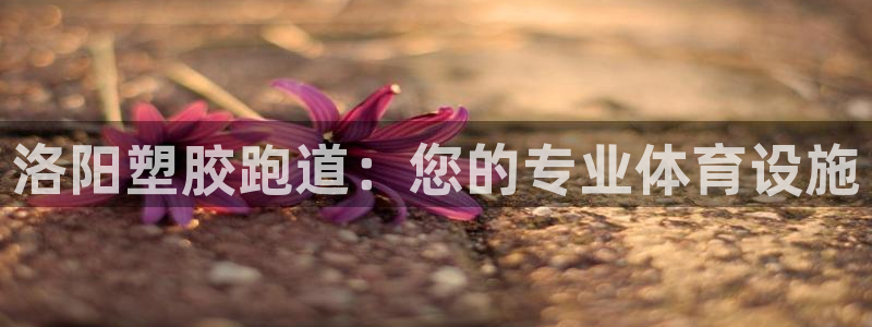 红足i世足球手机网：洛阳塑胶跑道：您的专业体育设施
