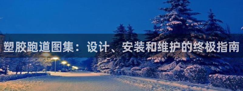 77814红足1世：塑胶跑道图集：设计、安装和维护的终极指南