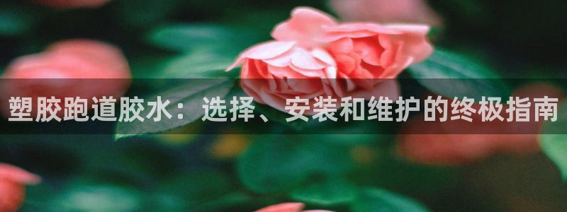 666814红·足一世比分：塑胶跑道胶水：选择、安装和维护的终极指南