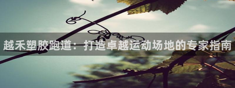 百度红足一1是为什么：越禾塑胶跑道：打造卓越运动场地的专家指南