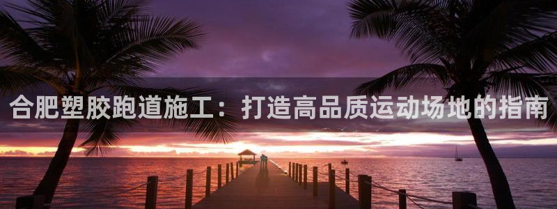 红足一生世：合肥塑胶跑道施工：打造高品质运动场地的指南