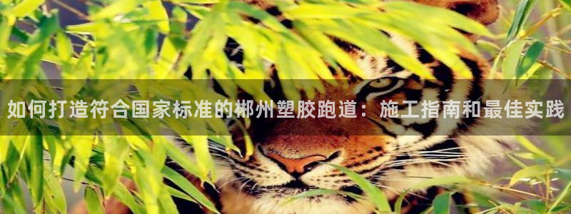 红足一生世：如何打造符合国家标准的郴州塑胶跑道：施工指南和最佳实践