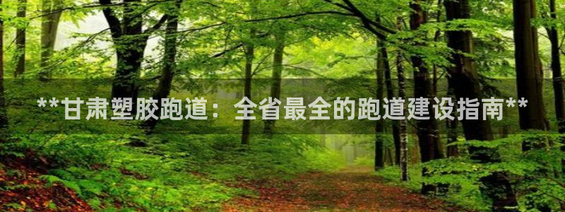 红足1世手机版下载：**甘肃塑胶跑道：全省最全的跑道建设指南**