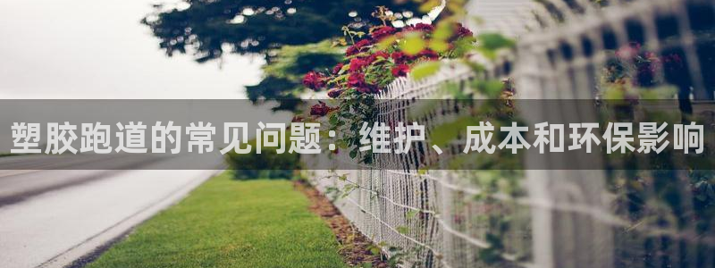 红足1一世足球手机：塑胶跑道的常见问题：维护、成本和环保影响
