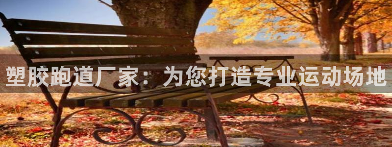 红足一一世：塑胶跑道厂家：为您打造专业运动场地