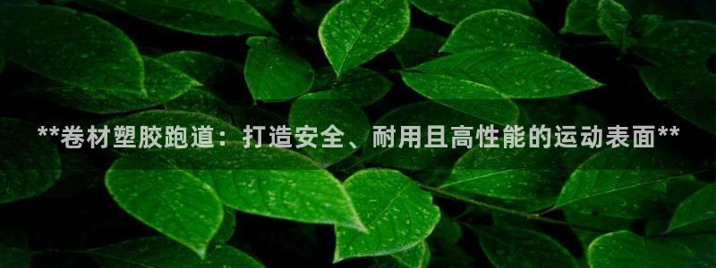 333814红足1世：**卷材塑胶跑道：打造安全、耐用且高性能的运动表面**