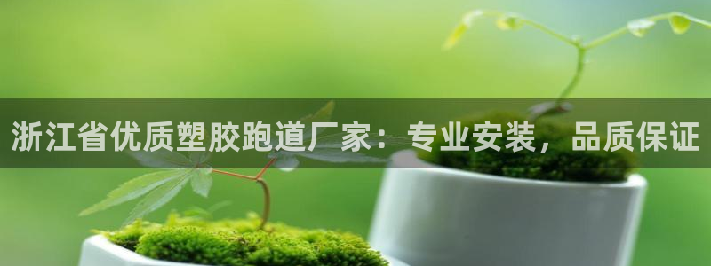 红足足球网：浙江省优质塑胶跑道厂家：专业安装，品质保证