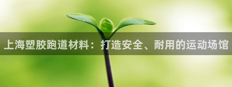 红足一球：上海塑胶跑道材料：打造安全、耐用的运动场馆