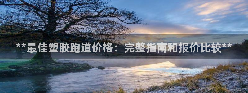 红姐现场直播开奖记录：**最佳塑胶跑道价格：完整指南和报价比较**