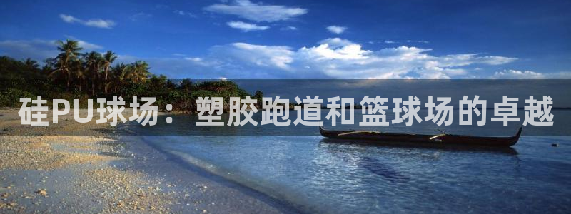 红足一丰：硅PU球场：塑胶跑道和篮球场的卓越