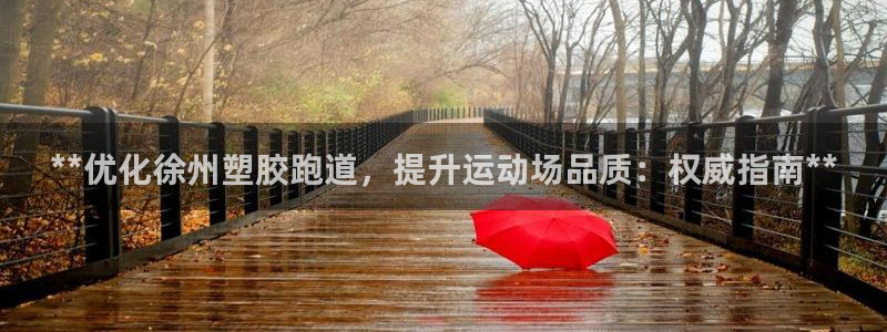 红足一生世：**优化徐州塑胶跑道，提升运动场品质：权威指南**