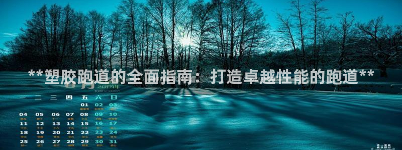 红足一1世平台：**塑胶跑道的全面指南：打造卓越性能的跑道**