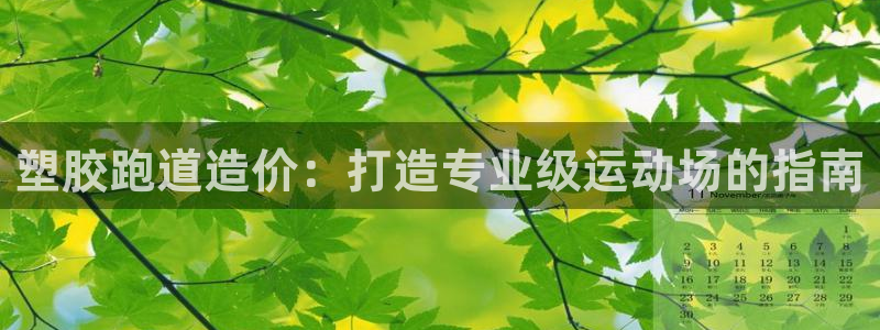 百度红足一1世：塑胶跑道造价：打造专业级运动场的指南
