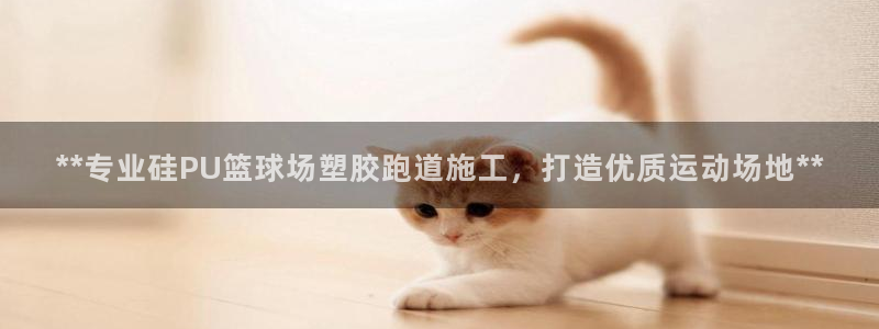 红足一1世即时比分：**专业硅PU篮球场塑胶跑道施工，打造优质运动场地**