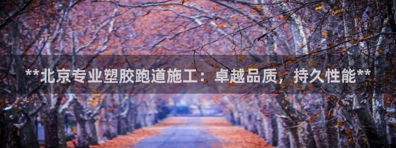 红足一1世比分网：**北京专业塑胶跑道施工：卓越品质，持久性能**