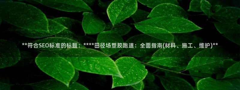 红足一1世手机开奖：**符合SEO标准的标题：****田径场塑胶跑道：全面指南(材料、施工、维护)**