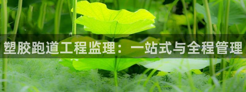 红足1一世足球手机：塑胶跑道工程监理：一站式与全程管理