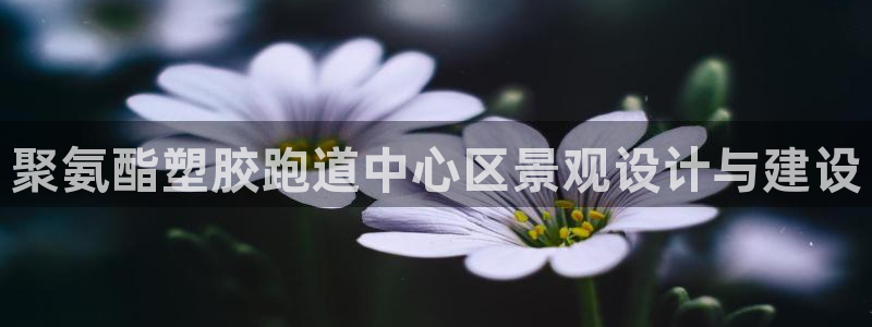 红足1一世足球手机：聚氨酯塑胶跑道中心区景观设计与建设