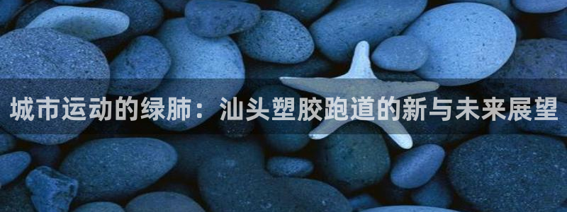 333814红足1世：城市运动的绿肺：汕头塑胶跑道的新与未来展望