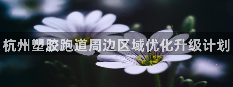 红足1一世开奖版