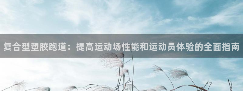 红足一1世77814：复合型塑胶跑道：提高运动场性能和运动员体验的全面指南