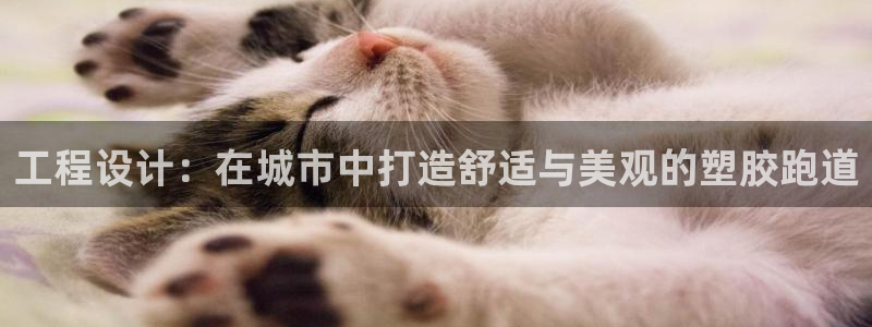 百度红足一1使用说明：工程设计：在城市中打造舒适与美观的塑胶跑道