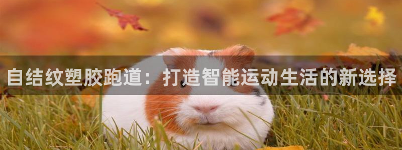 红足1一世红：自结纹塑胶跑道：打造智能运动生活的新选择