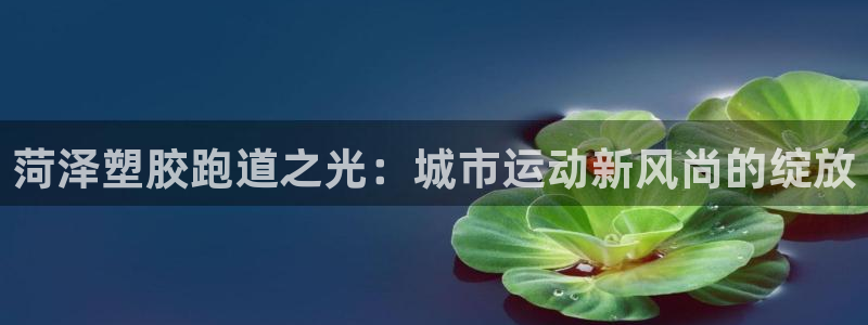 红足1世足球：菏泽塑胶跑道之光：城市运动新风尚的绽放