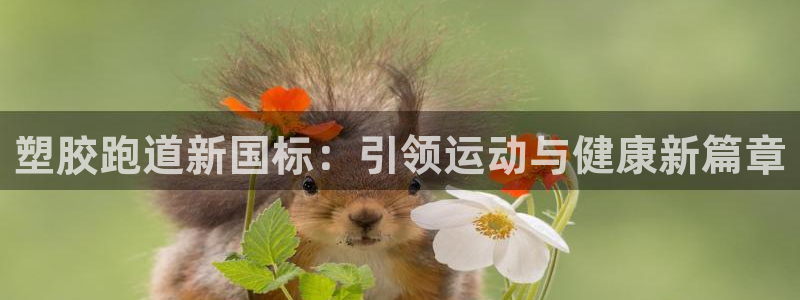 红足一1世官网足球推荐真人：塑胶跑道新国标：引领运动与健康新篇章