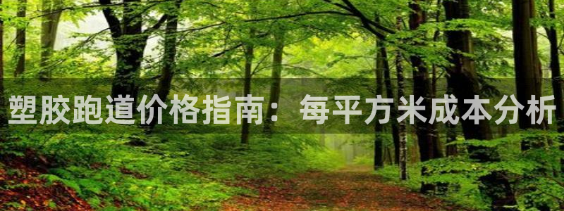 红足一1世皇冠：塑胶跑道价格指南：每平方米成本分析