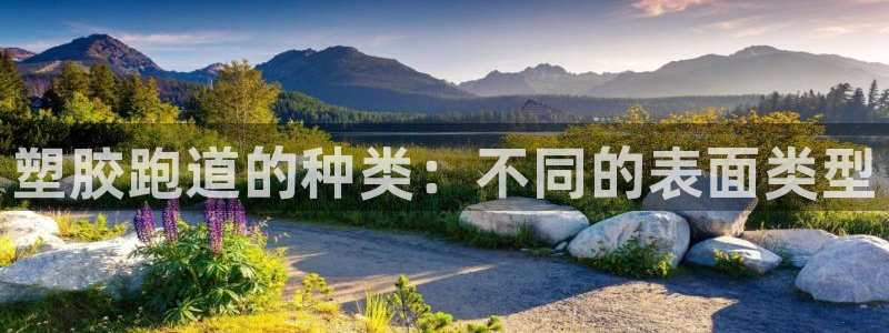 55814红足1世：塑胶跑道的种类：不同的表面类型