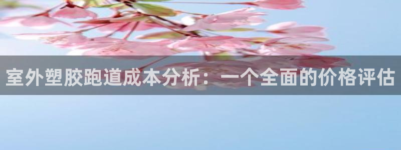 红足一1世比分球探：室外塑胶跑道成本分析：一个全面的价格评估