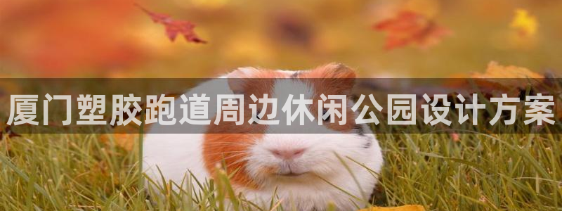 红足1世手足球比分：厦门塑胶跑道周边休闲公园设计方案