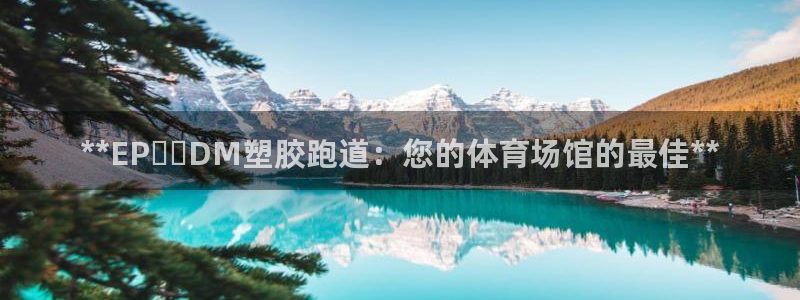 红足一：**EP​​DM塑胶跑道：您的体育场馆的最佳**