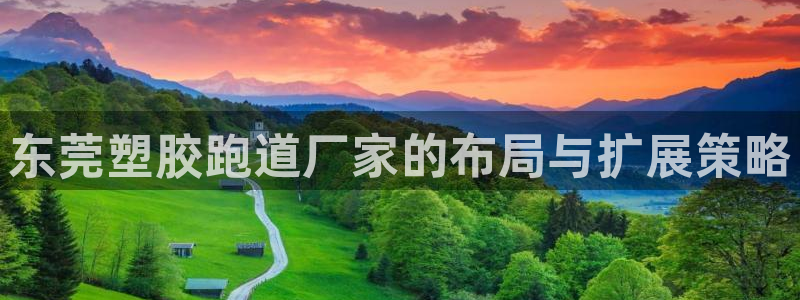 红足网足球直播：东莞塑胶跑道厂家的布局与扩展策略
