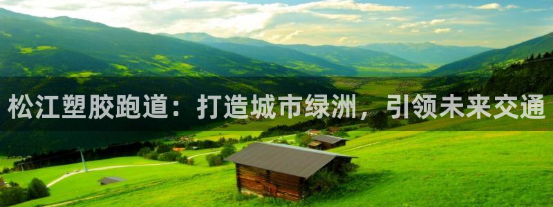 红足一1世皇冠：松江塑胶跑道：打造城市绿洲，引领未来交通