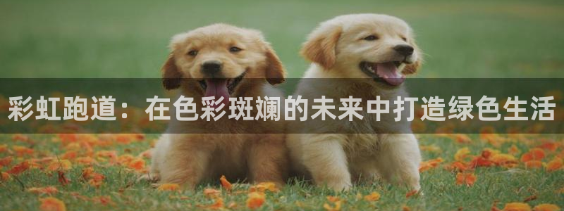 777814红·足一世：彩虹跑道：在色彩斑斓的未来中打造绿色生活
