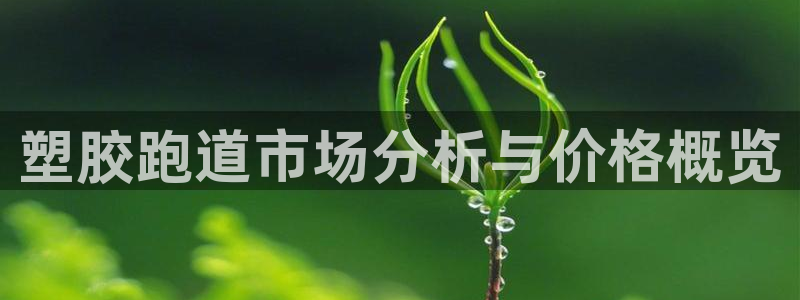 55814红足1世：塑胶跑道市场分析与价格概览