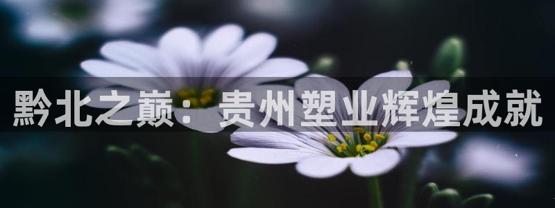 红足一1世官网比分：黔北之巅：贵州塑业辉煌成就
