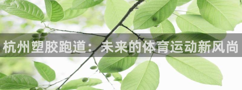 百度红足一1使用说明：杭州塑胶跑道：未来的体育运动新风尚