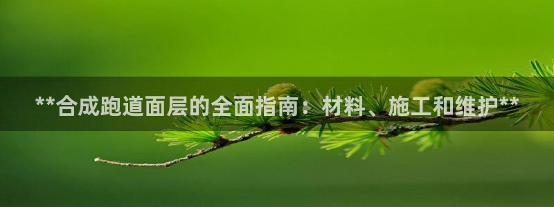红足一1世官网：**合成跑道面层的全面指南：材料、施工和维护**